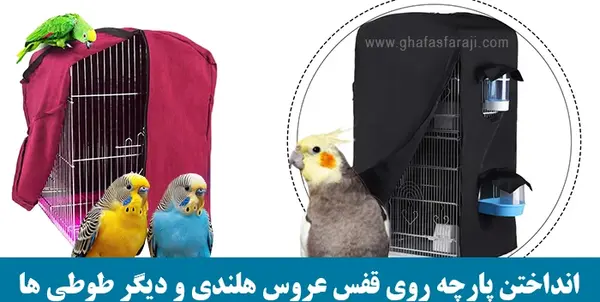 عکس غذاهای عروس هلندی