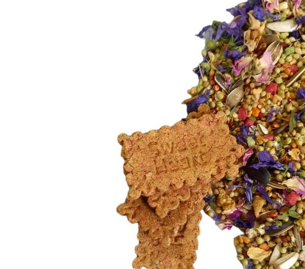 عکس غذاهای عروس هلندی