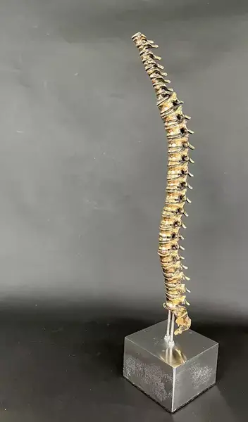 عکس ثبت طرح نقاشی