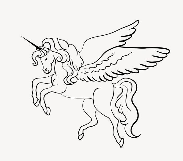 عکس اسب تک شاخ می خوام