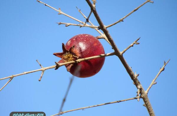عکس پاییز روستایی