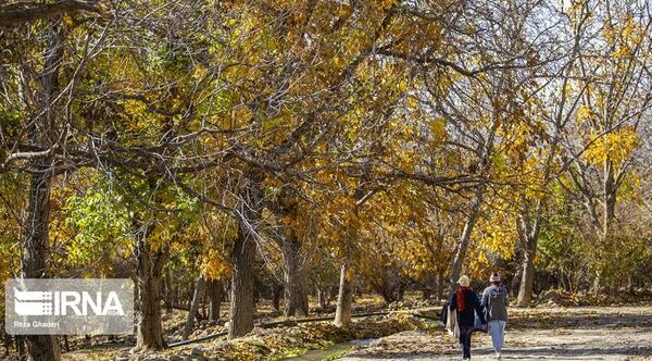 عکس پاییز روستایی