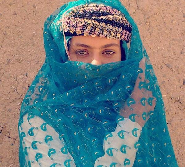 عکس آهوی غزال