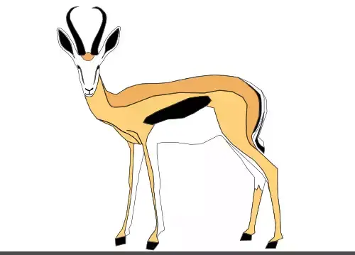 عکس آهوی غزال