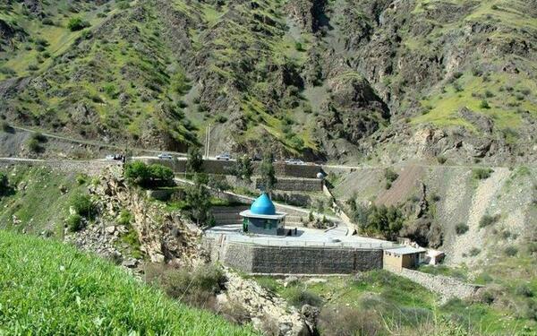 عکس داوود عبدی