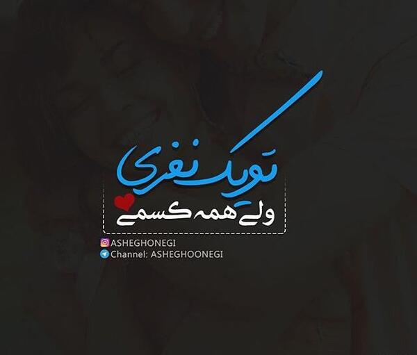 عکس سگ پاکوتاه پشمالو فروشی