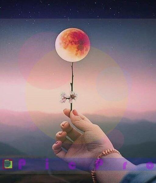 عکس زیبا برای پروفایل کلاسی
