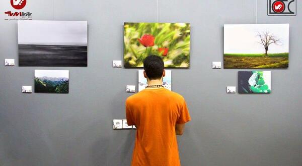 نمایشگاه عکس چیست