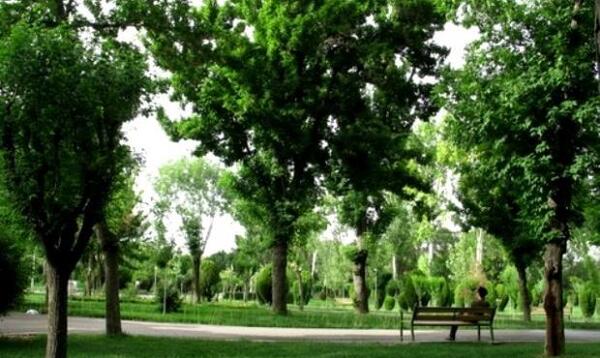 عکس شب گرمی
