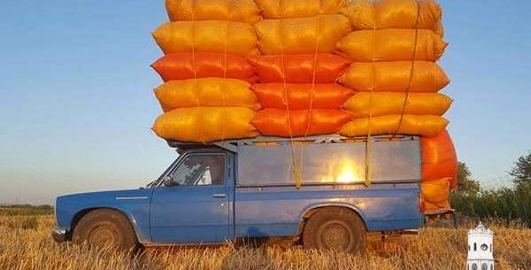 عکس نیسان عروس