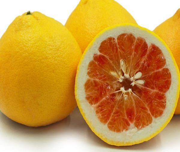 عکس گریپ فروت