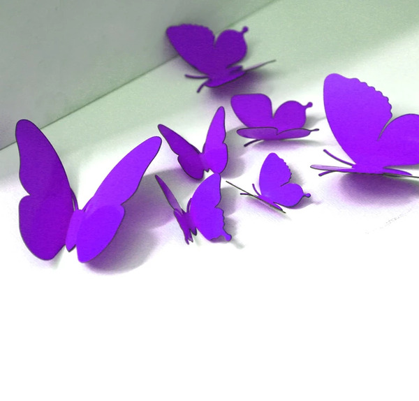 عکس پروانه بنفش