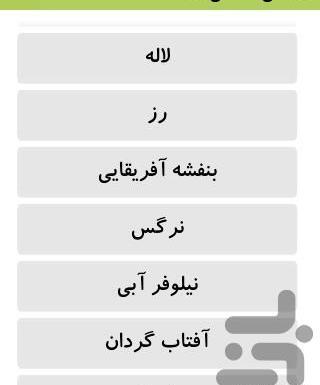 عکس نقاشی غنچه گل لاله
