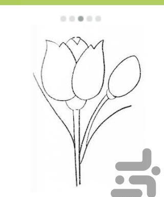عکس نقاشی غنچه گل لاله