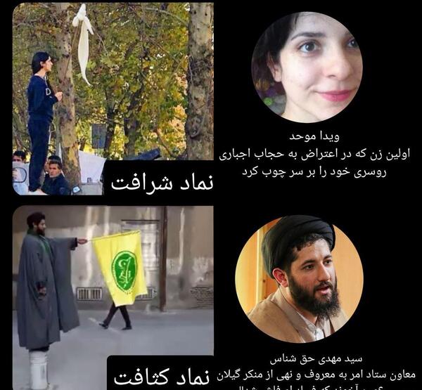 عکس هانیه موحد