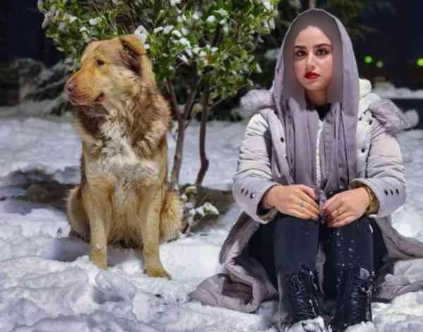 عکس هانیه موحد