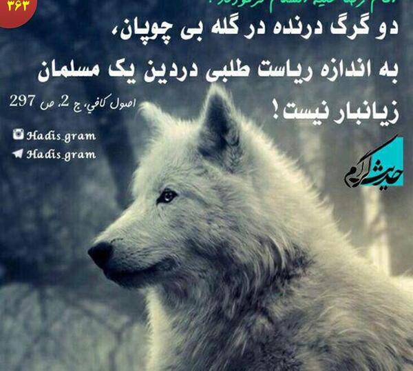 عکس نوشته از سخنان امام رضا