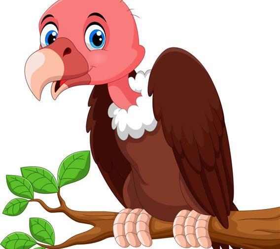 عکس کرکس کارتونی