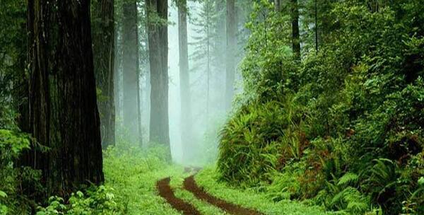 عکس شهر صومعه سرا