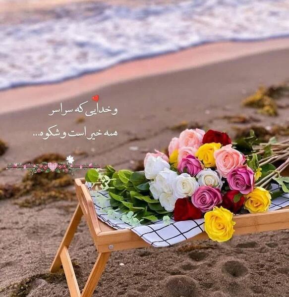 عکس خدایا شکرت ویسگون