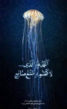 عکس خدایا شکرت ویسگون