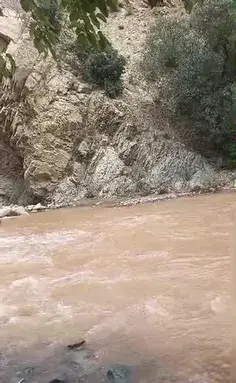 عکس خدایا شکرت ویسگون
