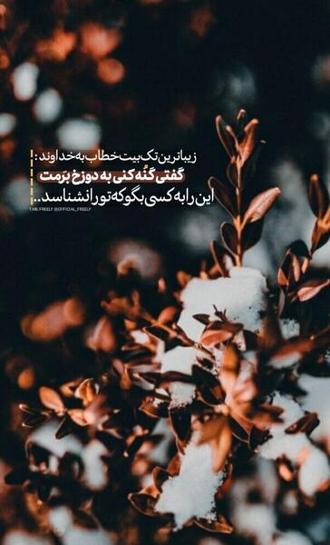 عکس خدایا شکرت ویسگون