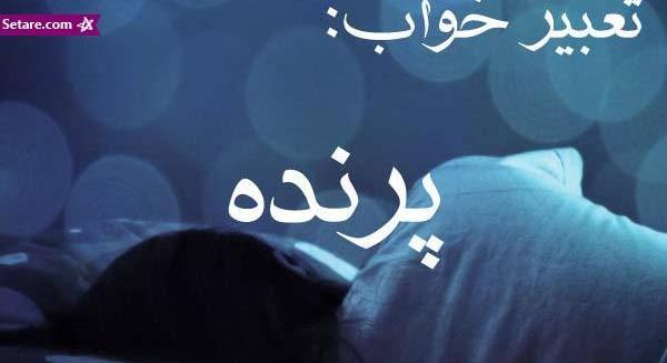 عکس طاووس روی دیوار