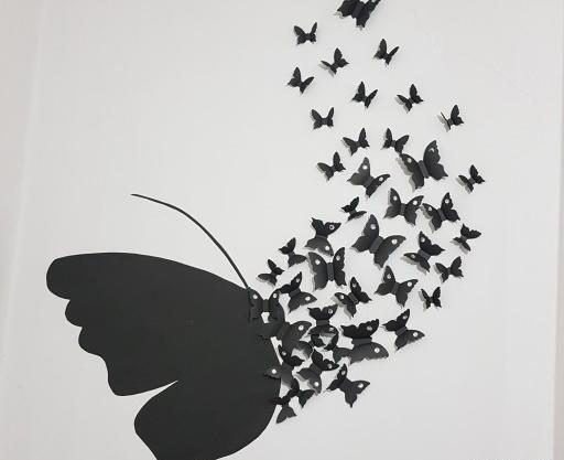 عکس پروانه کوچک