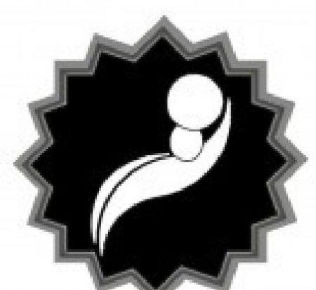 عکس هوایی فولادشهر