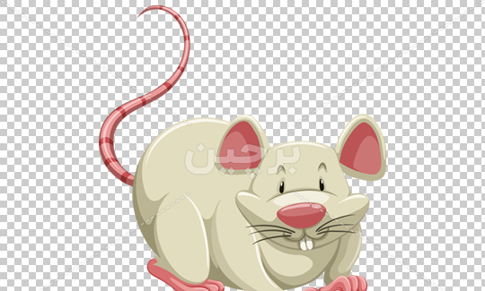عکس موش