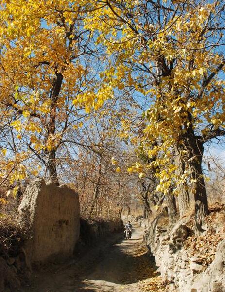 عکس روستای کاهو مشهد