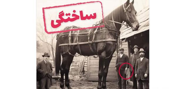 عکس اسب غول