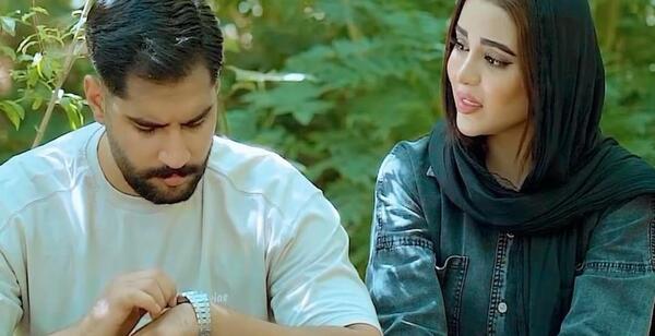 عکس از شیر وحشی