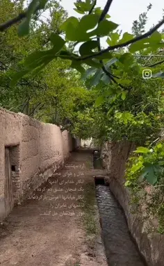 عکس اردیبهشت ماهی ها