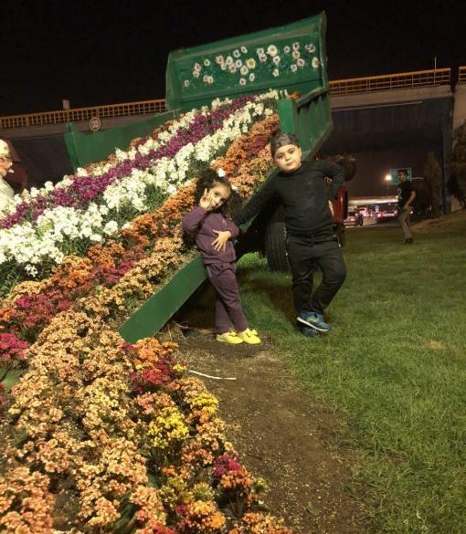 عکس اردیبهشت ماهی ها