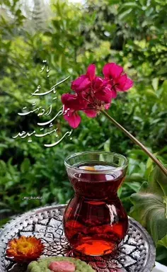 عکس اردیبهشت ماهی ها