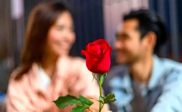 عکس اردیبهشت ماهی ها