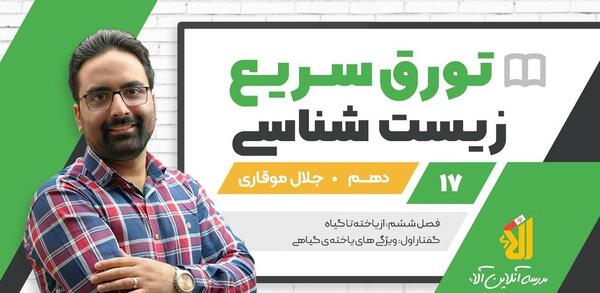 عکس های جلال موقاری