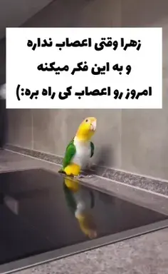 عکس نوشته چشمات دنیامه دنیامو ازم نگیر
