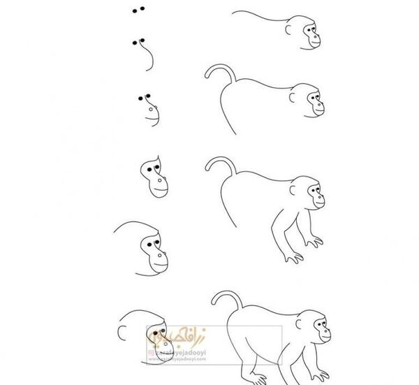 عکس نقاشی ساده میمون