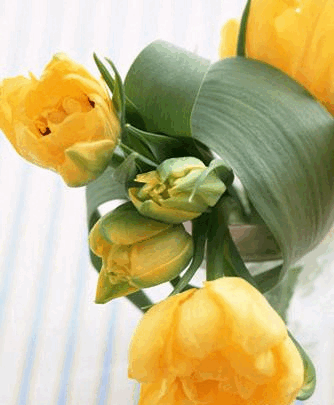 عکس بی حجاب الهام کردا