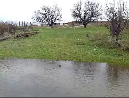 عکس محسن زمانی