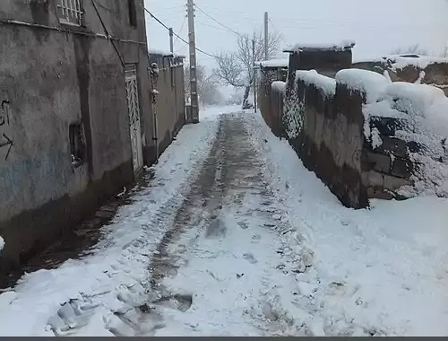 عکس محسن زمانی