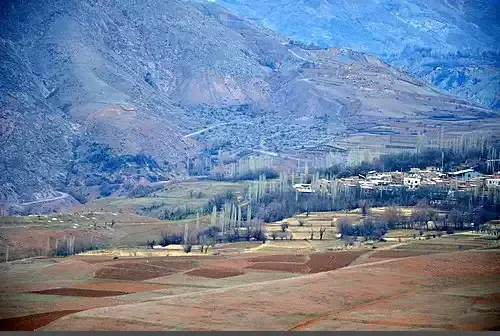 عکس محسن زمانی