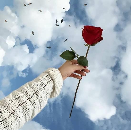 عکس نوشته های زیبا و مفهومی دخترانه