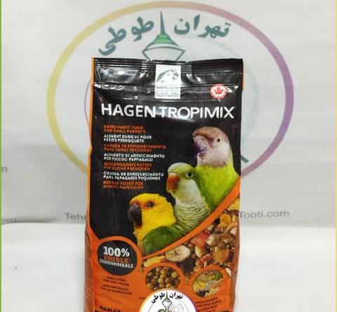 عکس عروس هلندی چی میخوره