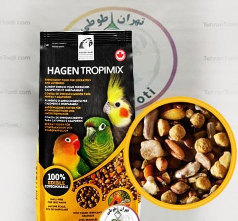 عکس عروس هلندی چی میخوره