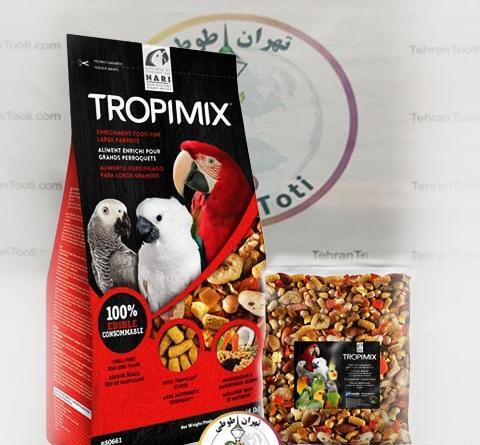 عکس عروس هلندی چی میخوره
