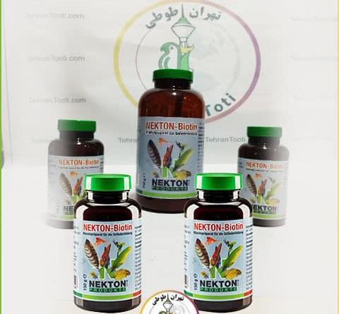 عکس عروس هلندی چی میخوره
